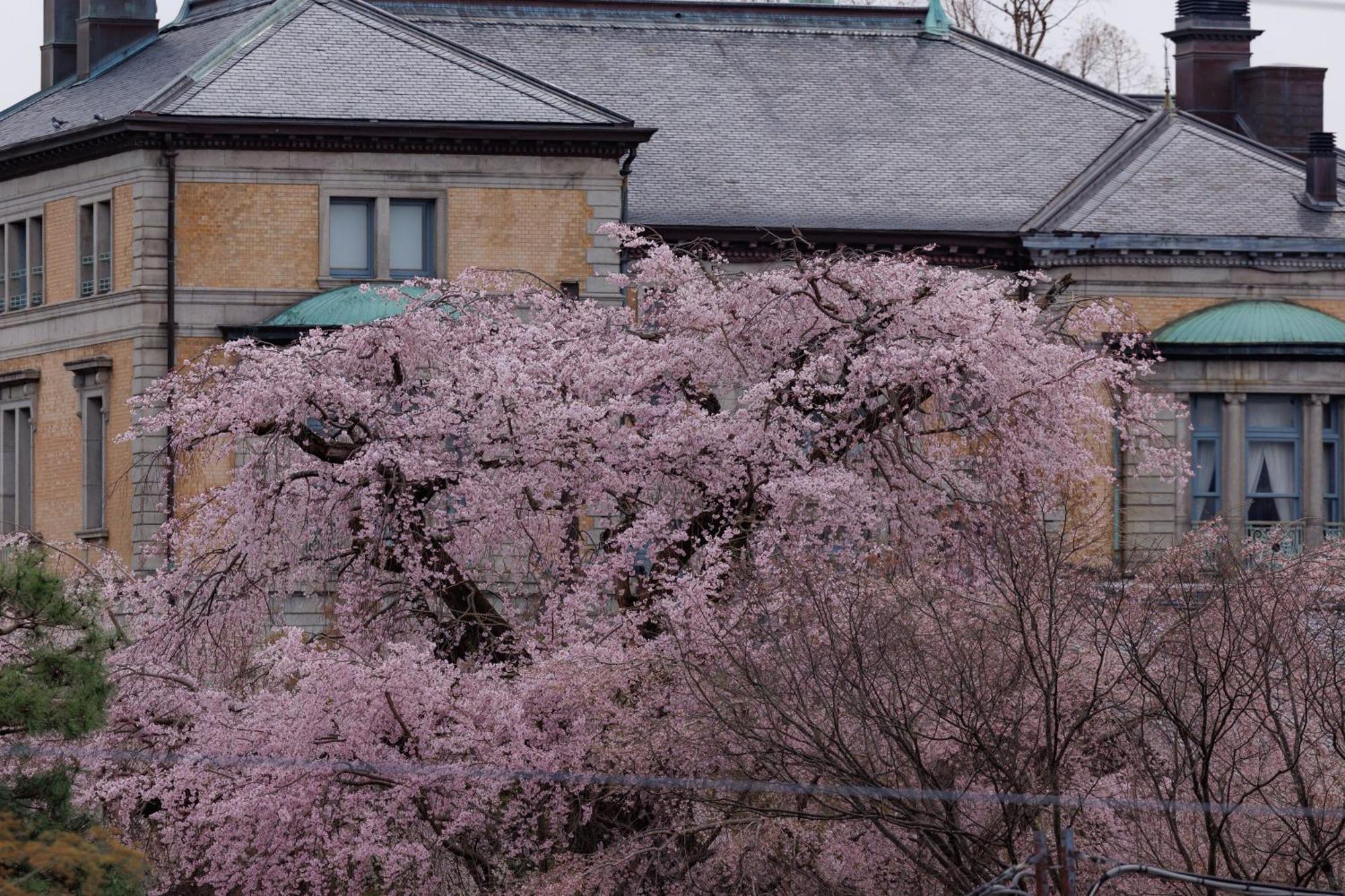 Hotel Chourakukan Kyoto Gion 長楽館 מראה חיצוני תמונה